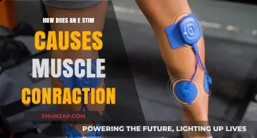 The Science Behind E-Stim Muscle Contraction
