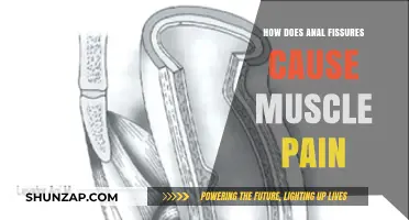Anal Fissures: Understanding the Link to Muscle Pain