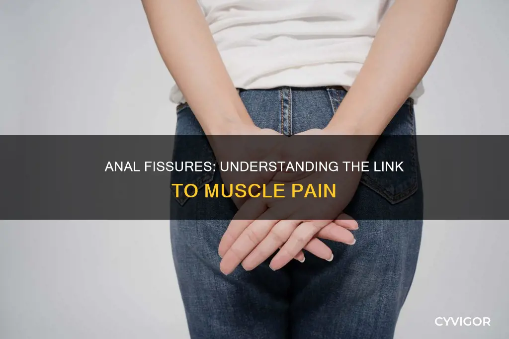 how does anal fissures cause muscle pain