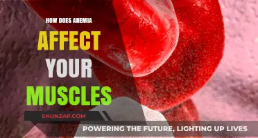 Iron Deficiency and Muscle Health: Understanding the Impact of Anemia