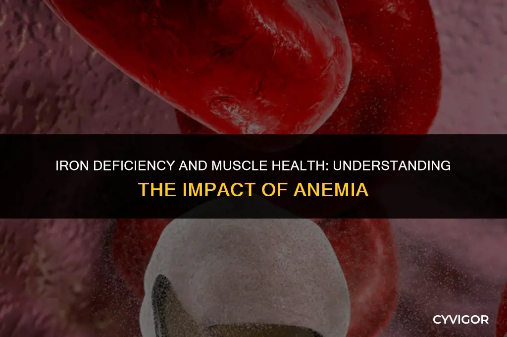 how does anemia affect your muscles