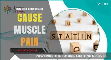 Atorvastatin's Muscle Pain Mystery Explained