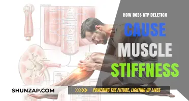 ATP Deletion: Unlocking the Mystery of Muscle Stiffness