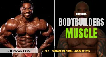Bodybuilders' Muscle Loss: What, Why, and How to Prevent It