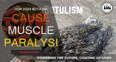 Botulism's Path to Paralysis: A Toxic Journey