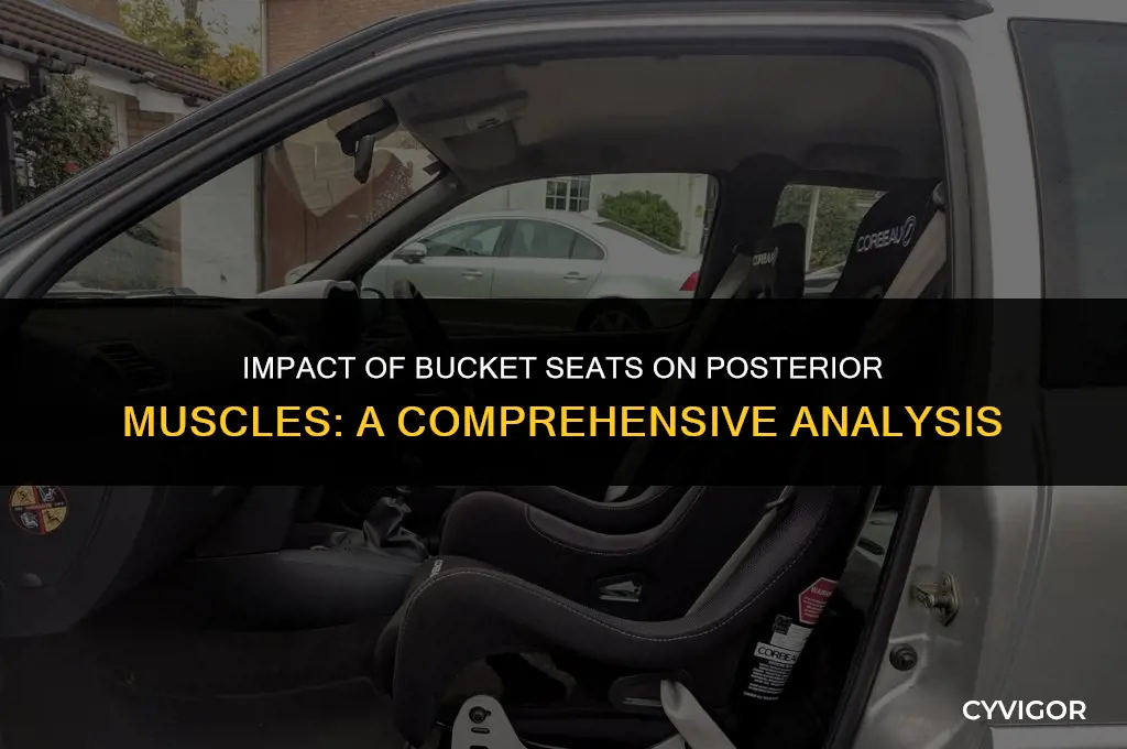 how does bucket seats affect posas muscle