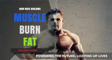 Sculpting Lean: The Science Behind Building Muscle to Burn Fat