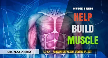 Unlocking Muscle Growth: The Science Behind Effective Bulking Strategies