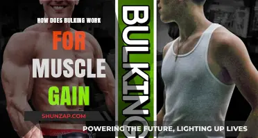 Understanding Bulking: Strategies for Effective Muscle Gain and Growth