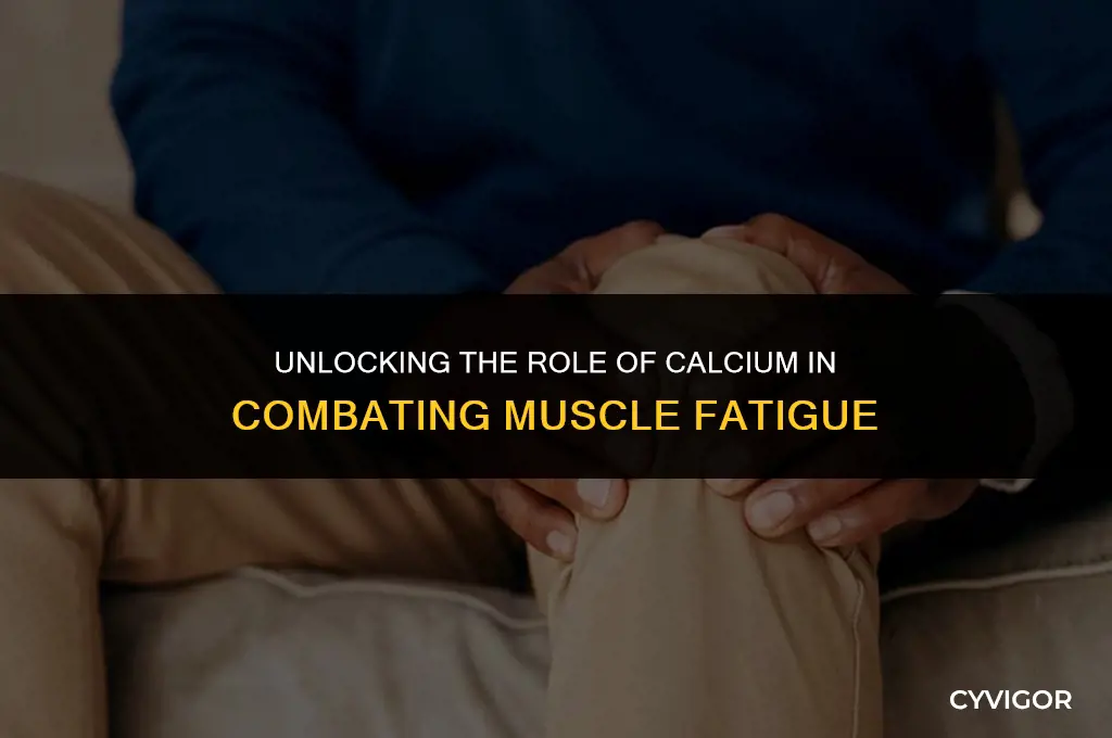 how does calcium affect muscle fatigue