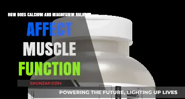 Unlocking Muscle Potential: The Calcium-Magnesium Balance