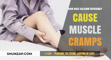 Calcium Deficiency: Muscle Cramps and Their Causes