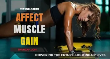 Cardio and Muscle Gain: Balancing Fitness for Optimal Results