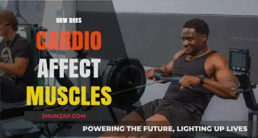Pumping Up Your Muscles: The Impact of Cardio on Strength and Endurance
