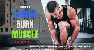 Cardio's Muscle Burn: What, Why, and How to Avoid It