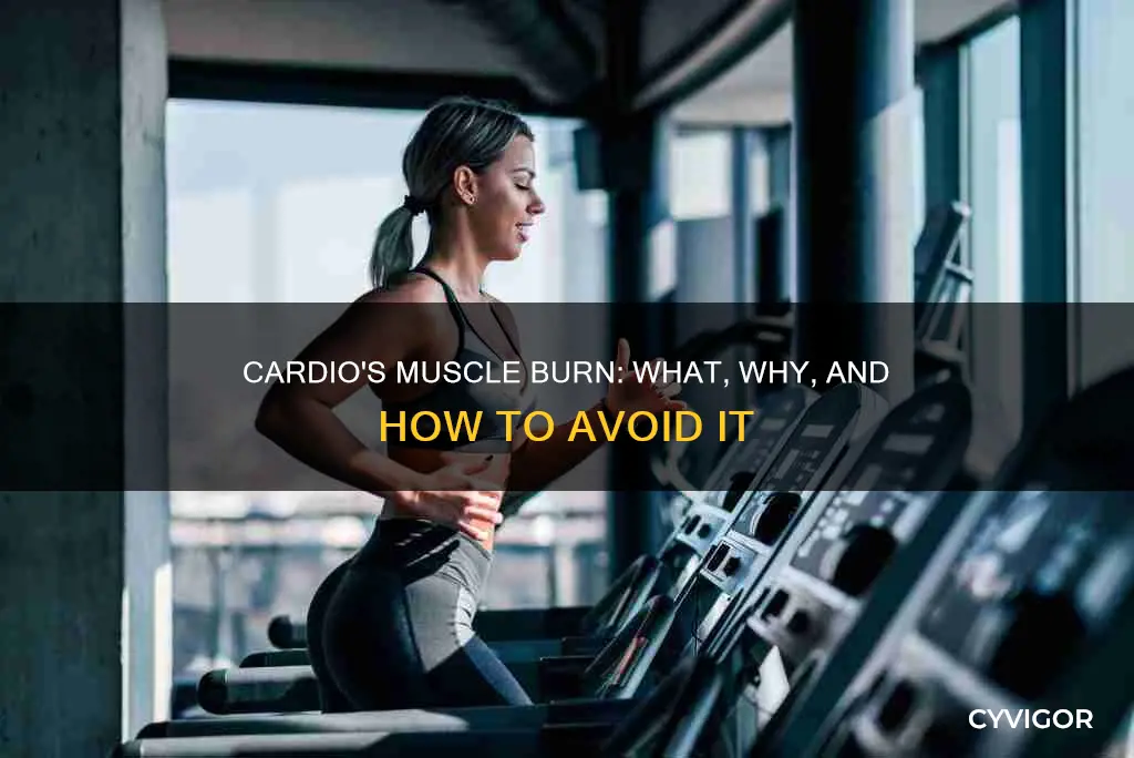 how does cardio burn muscle