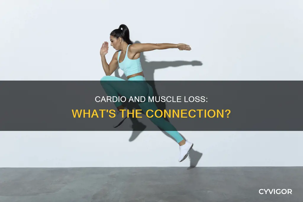 how does cardio cause muscle loss