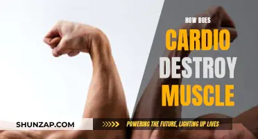 Cardio's Dark Side: The Muscle-Wasting Truth