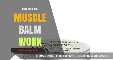 CBD Muscle Balm: How It Works to Relieve Pain and Soreness
