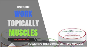 CBD Topicals: Unlocking Muscle Relief and Recovery Mechanisms
