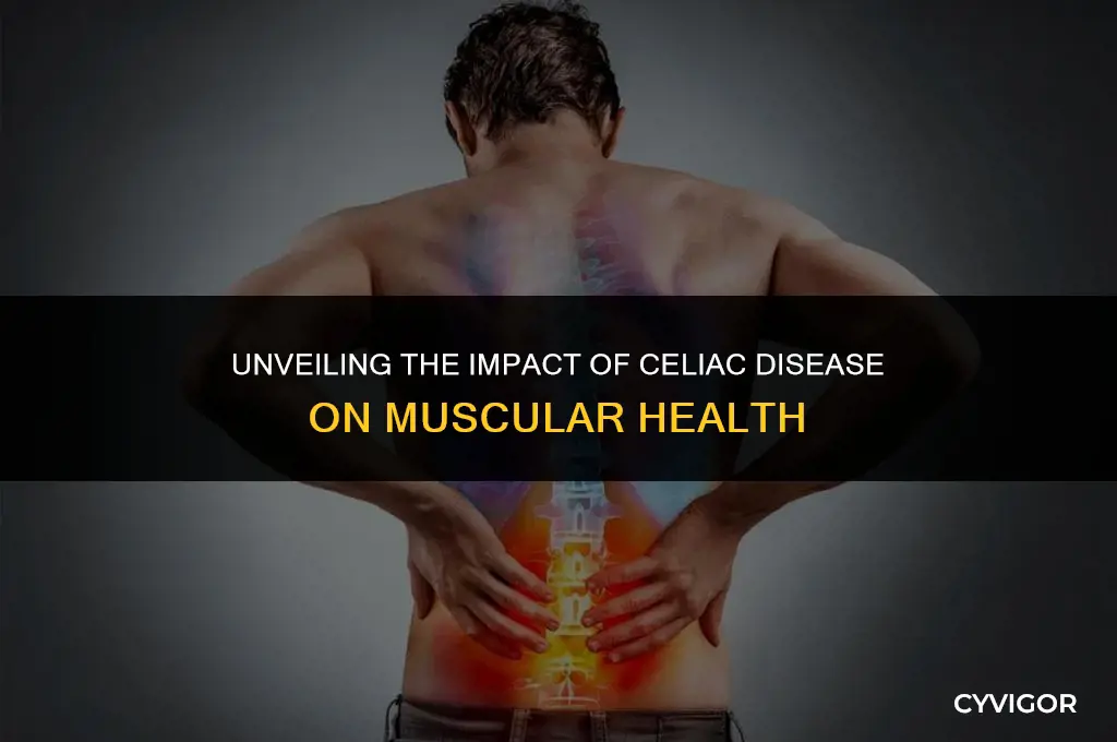 how does celiac disease affect muscles