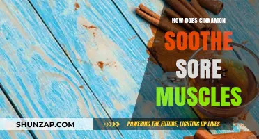 Cinnamon's Natural Relief: Easing Sore Muscles with Warming Spice Power