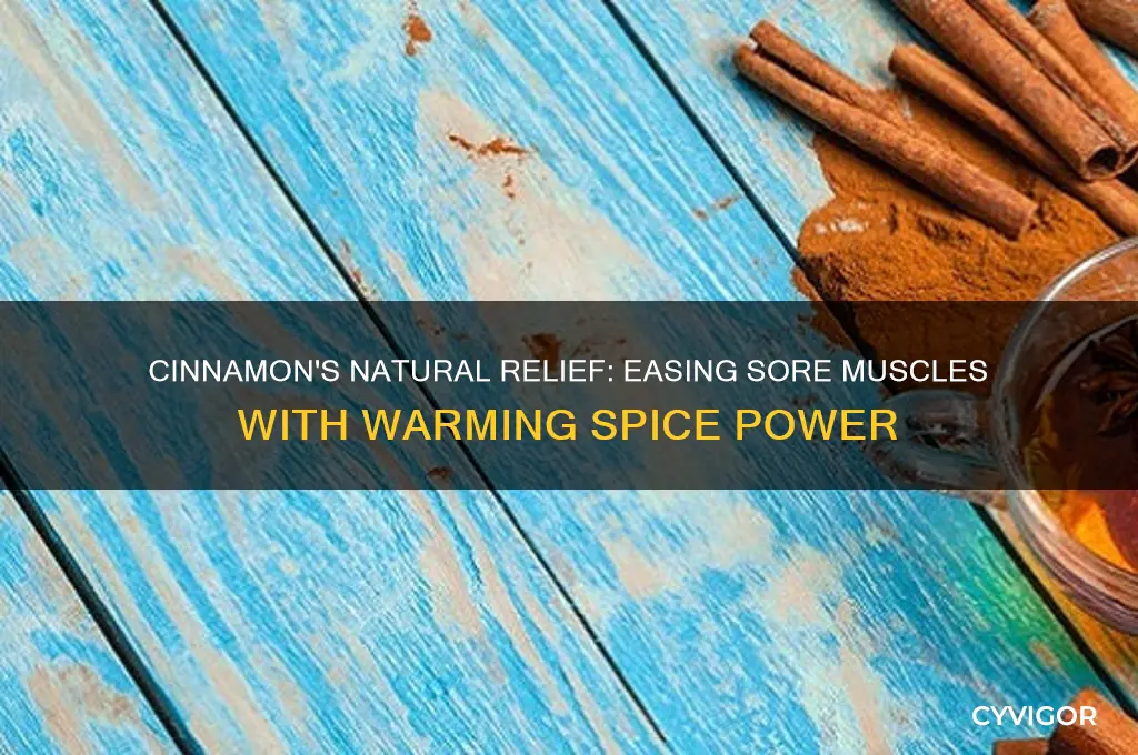 how does cinnamon soothe sore muscles