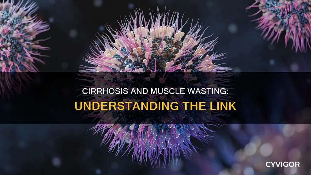 how does cirrhosis cause muscle wasting