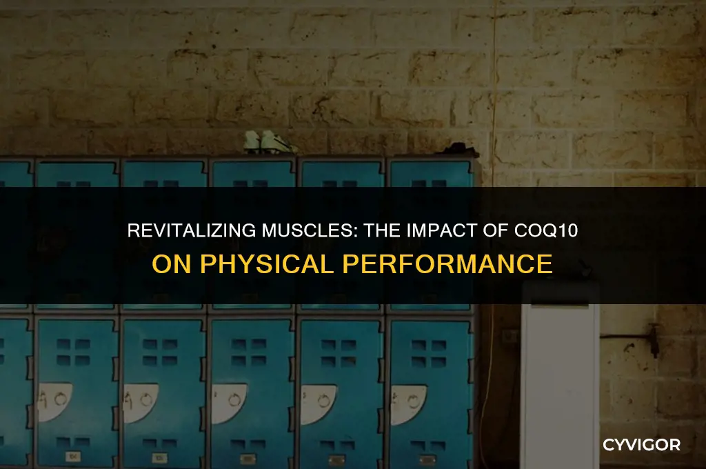 how does co q10 affect the muscles
