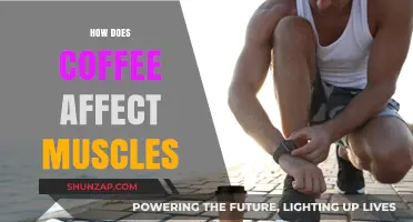 Exploring the Impact of Coffee on Muscle Performance and Recovery