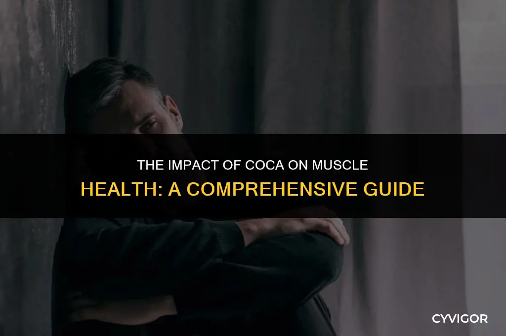 how does coka affect your muscles