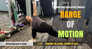 Chilling Effects: How Cold Impacts Your Muscles' Flexibility