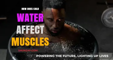 Chill and Flex: Understanding Cold Water's Impact on Muscles