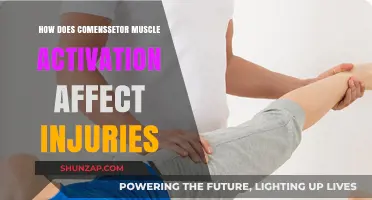 Exploring the Impact of Comenssetor Muscle Activation on Injury Prevention