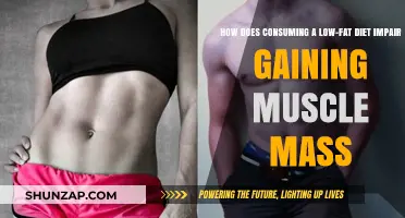 Low-Fat Diets: Hindering Muscle Growth and Strength Gains