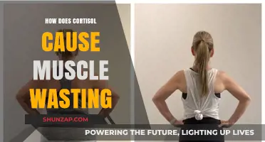 Cortisol's Negative Impact: Muscle Wasting Explained