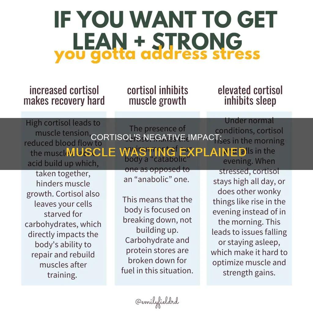 how does cortisol cause muscle wasting