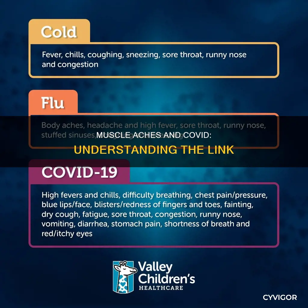how does covid cause muscle aches
