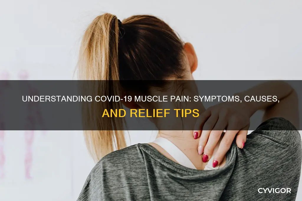 how does covid muscle pain feel