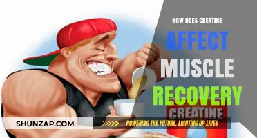 Boosting Muscle Recovery: The Impact of Creatine Supplementation