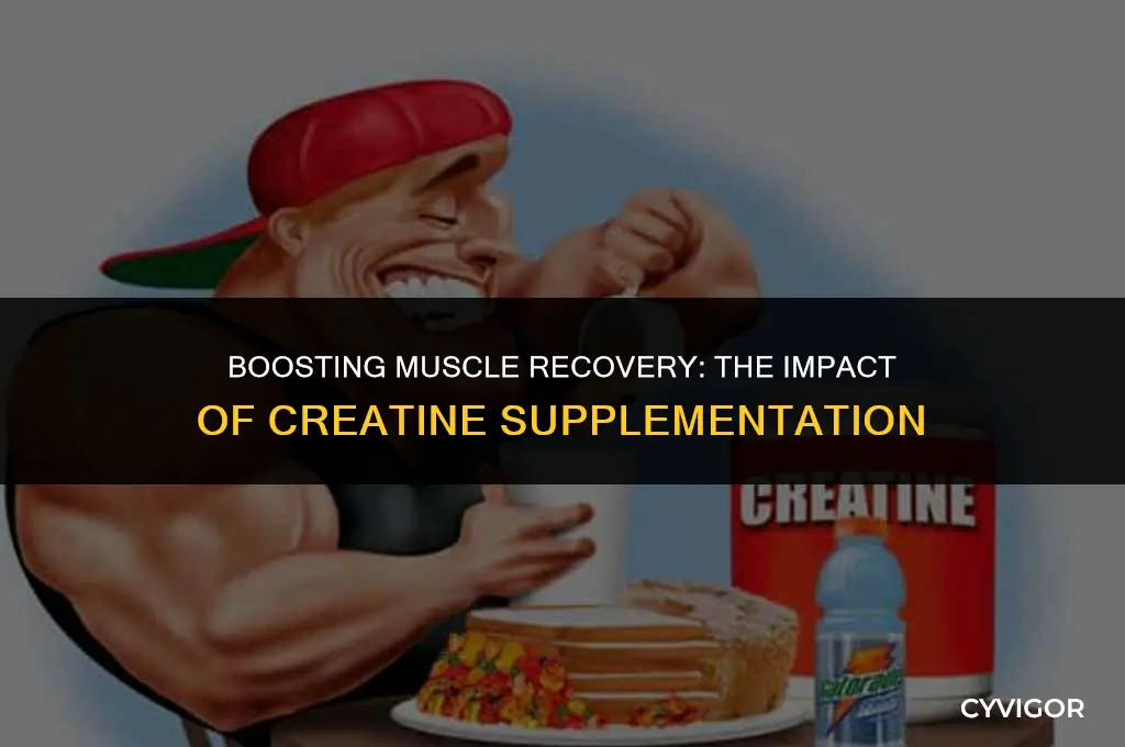 how does creatine affect muscle recovery