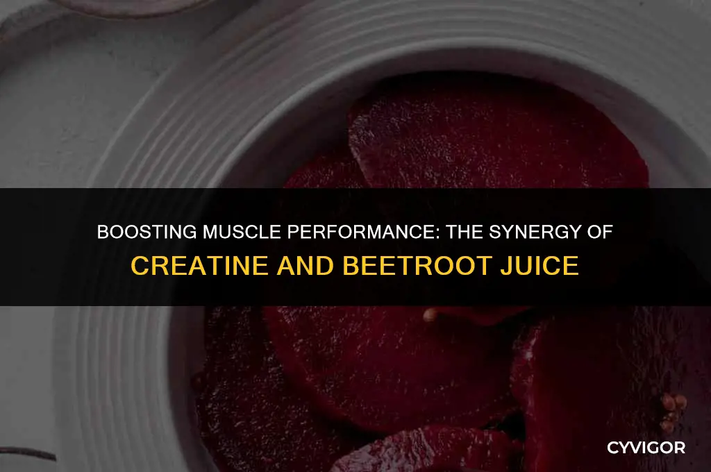 how does creatine and beetroot jucie affect muscles