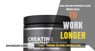 Creatine Phosphate: The Secret to Extended Muscle Endurance Explained