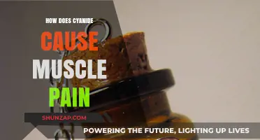 Cyanide Poisoning: Understanding Muscle Pain