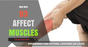 Unveiling the Impact of D3 on Muscle Health and Function
