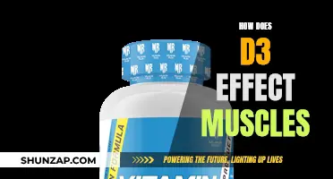 D3's Impact: Muscle Performance and Health
