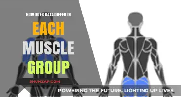 Muscle Group Data Differences: Unlocking Insights for Targeted Training