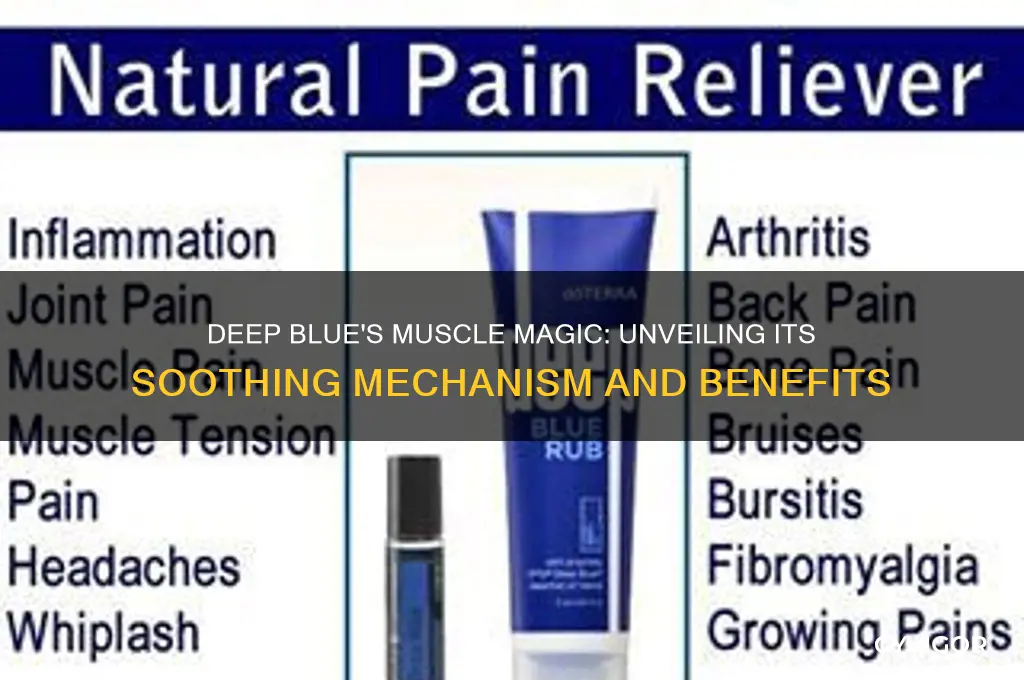 how does deep blue work on muscles