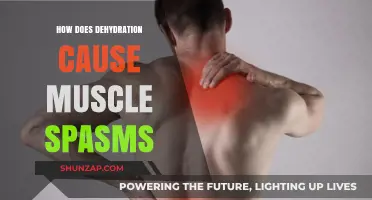 Dehydration's Link to Muscle Spasms: What You Need to Know
