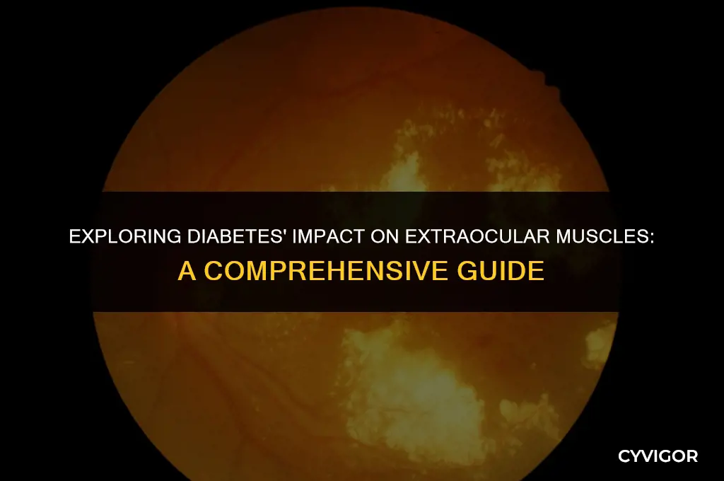 how does diabetes affect extaocular muscles